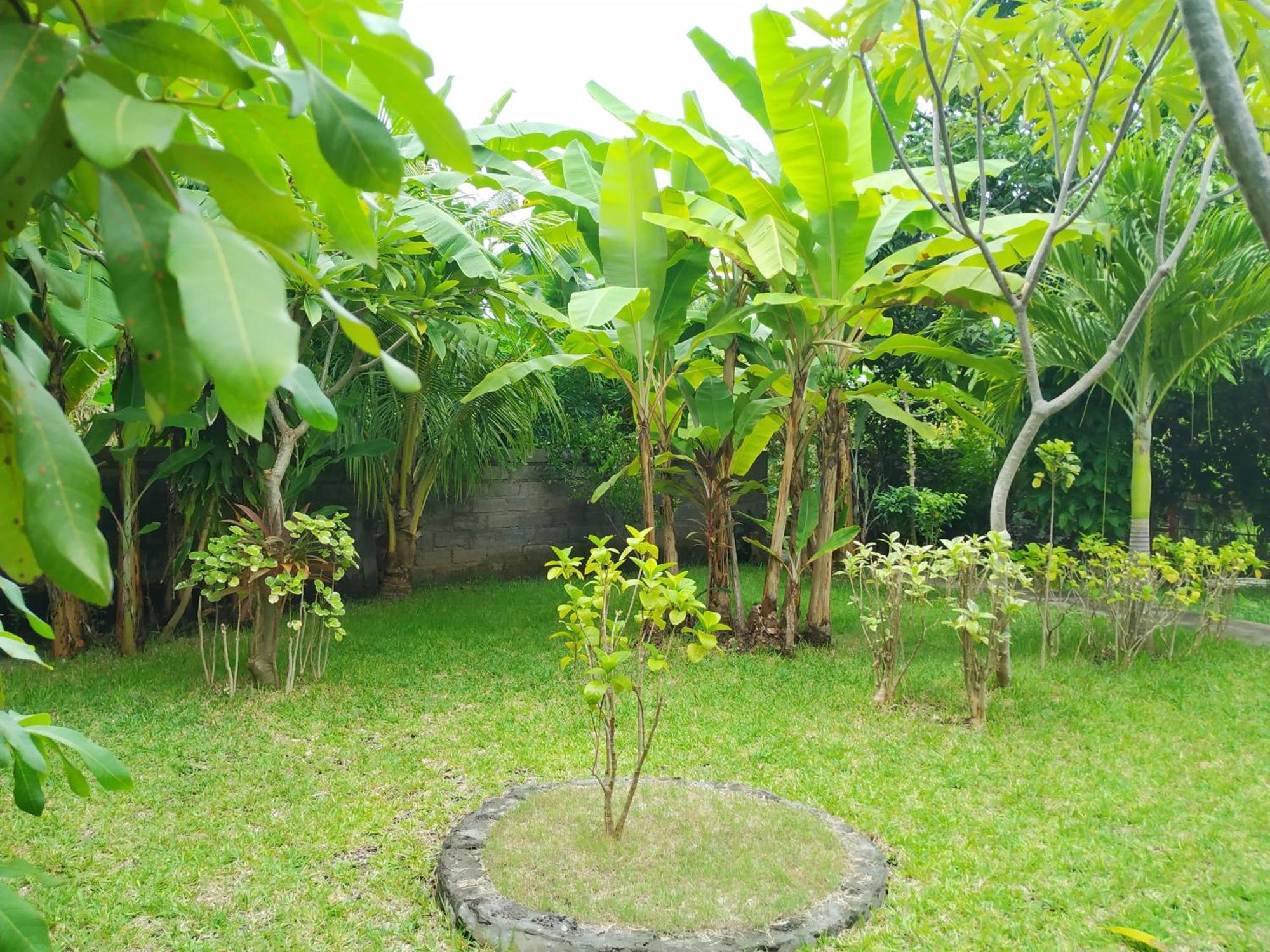 Asih Homestay Pemuteran Екстериор снимка