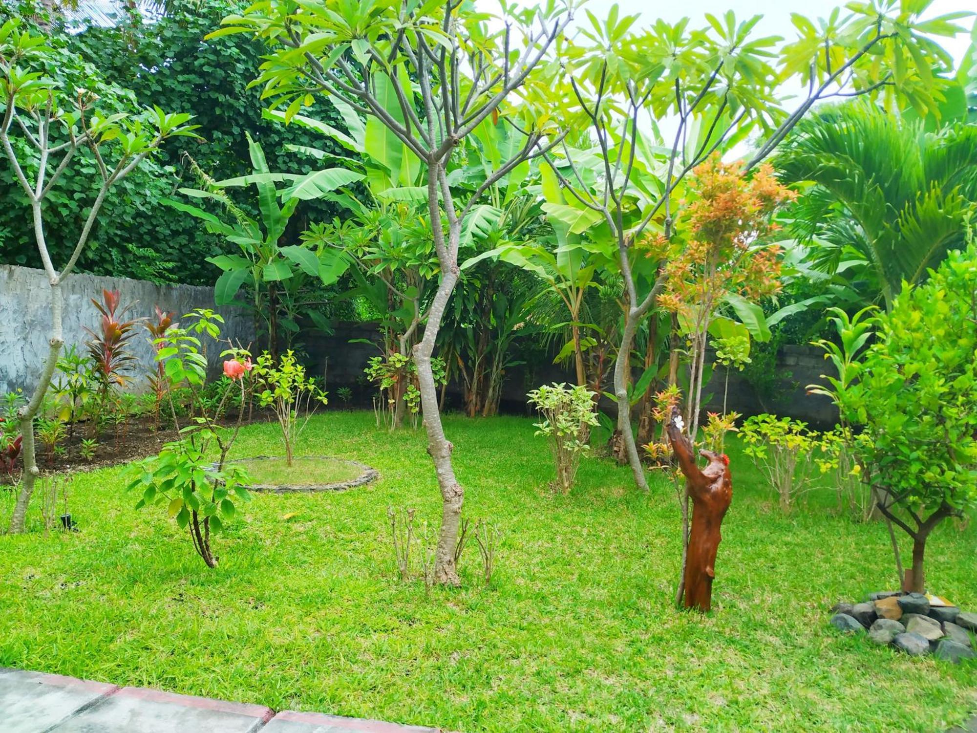 Asih Homestay Pemuteran Екстериор снимка