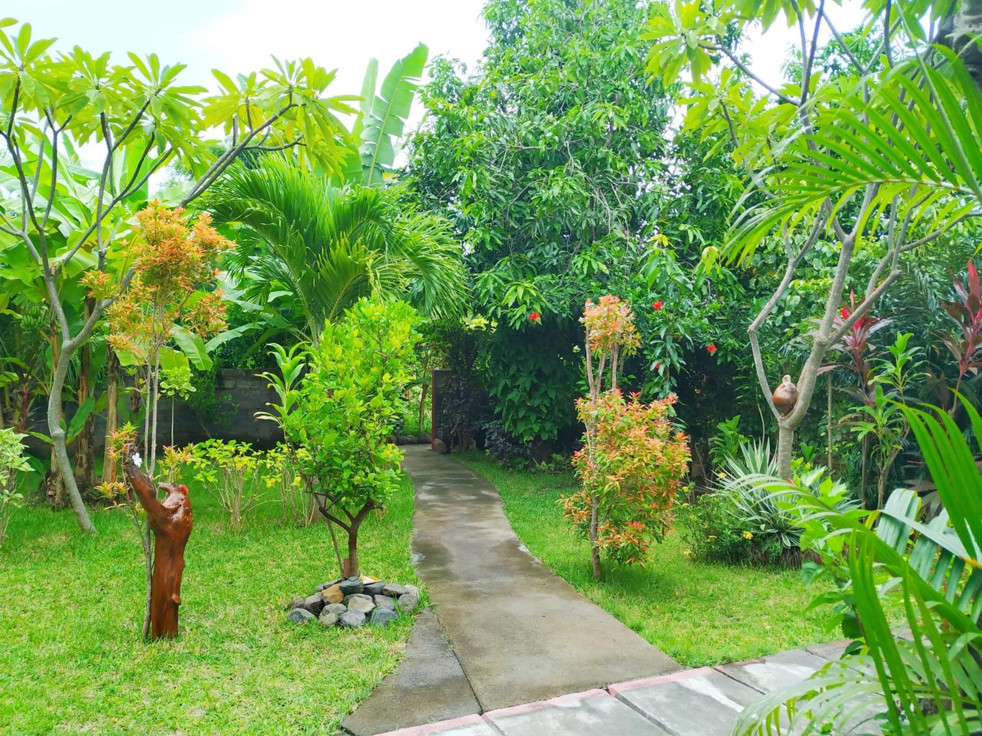 Asih Homestay Pemuteran Екстериор снимка